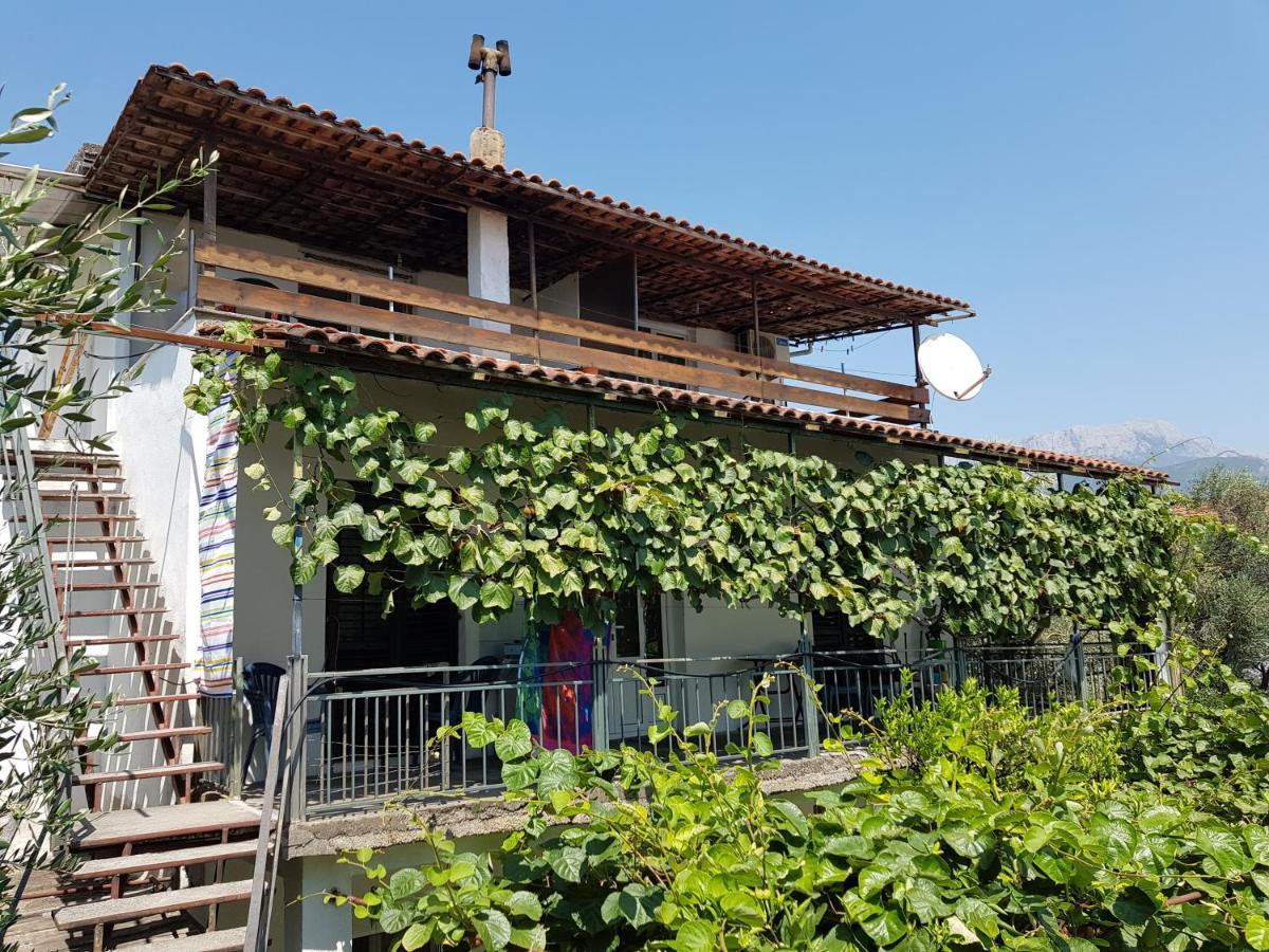 Apartmani Gordana 巴尔 外观 照片